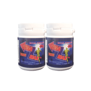 기가맥스(20정) 1+1